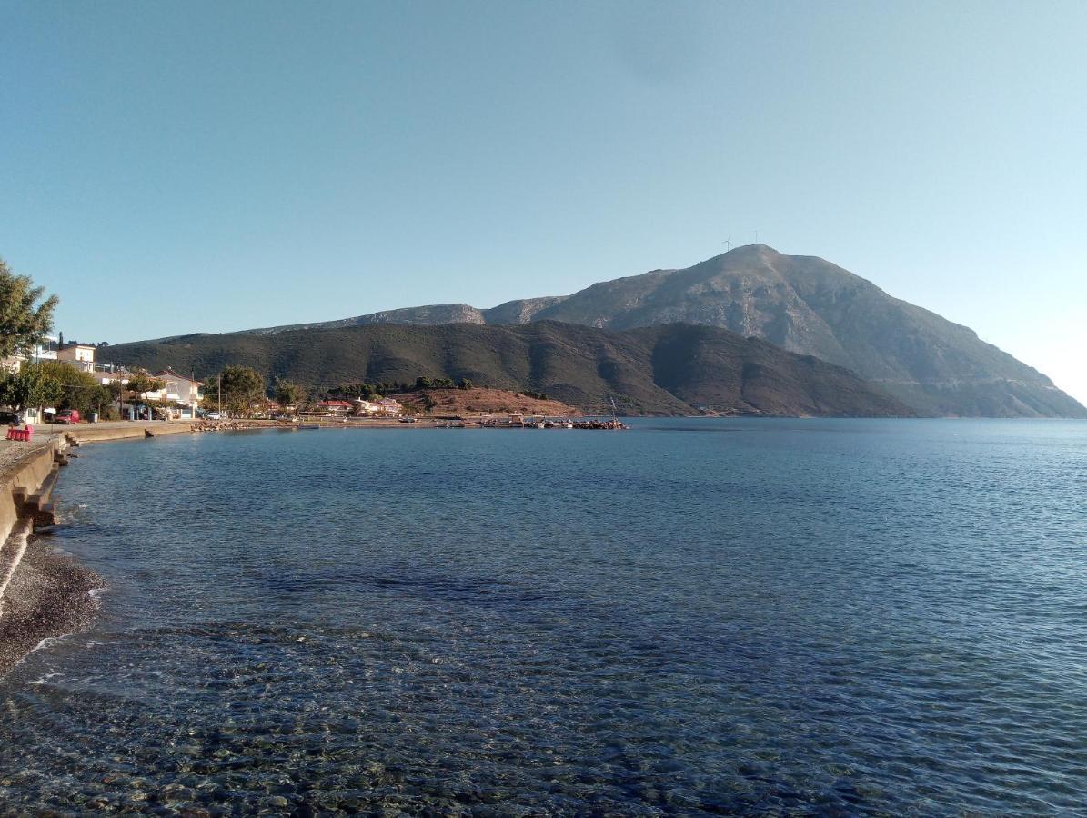 Villa The Platanus Tree Kato Vasiliki Exteriér fotografie