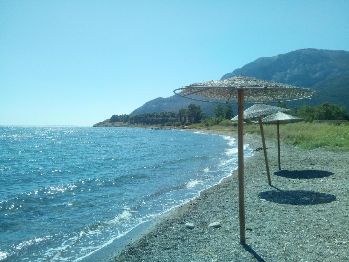 Villa The Platanus Tree Kato Vasiliki Exteriér fotografie
