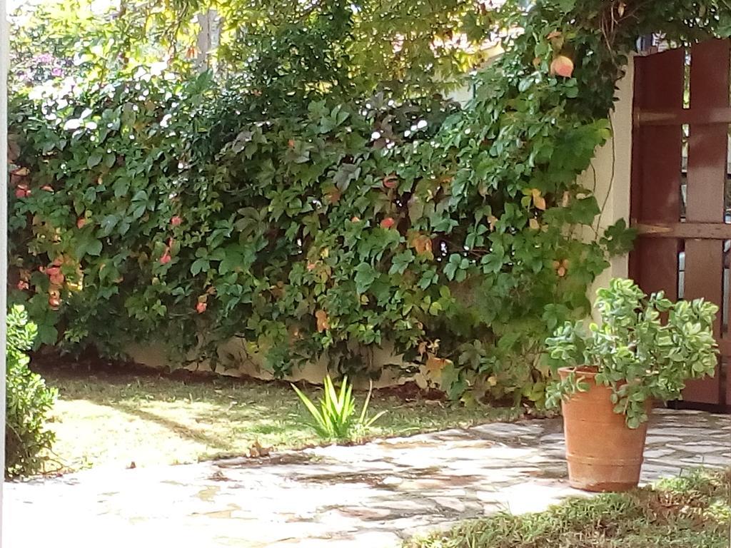 Villa The Platanus Tree Kato Vasiliki Exteriér fotografie