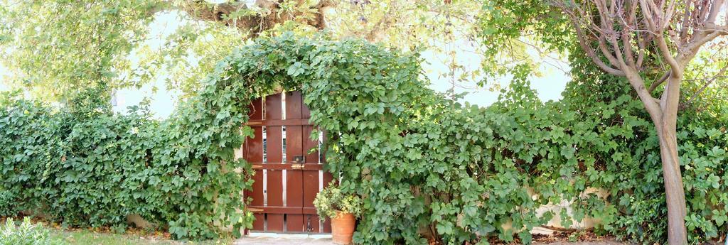 Villa The Platanus Tree Kato Vasiliki Exteriér fotografie