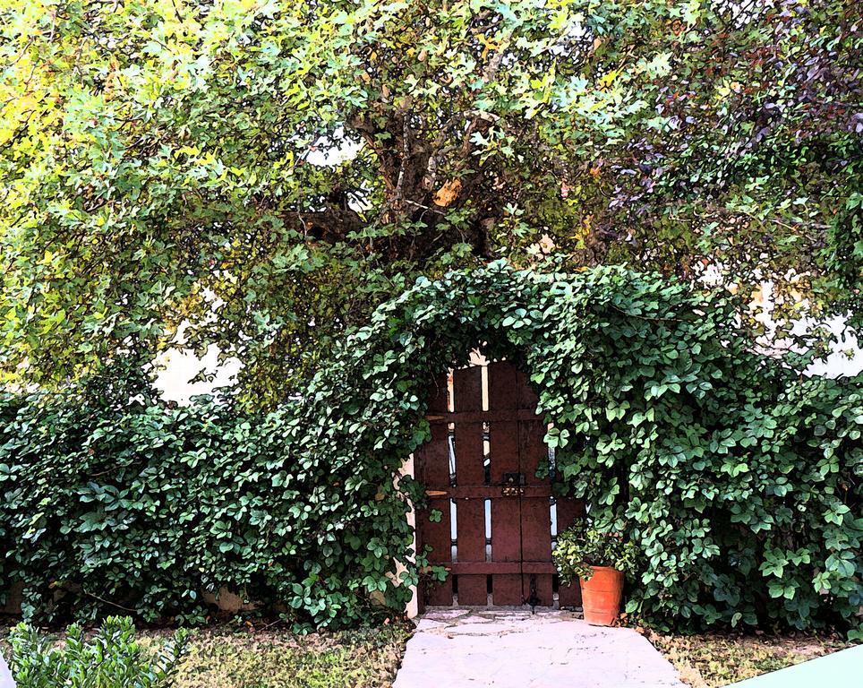 Villa The Platanus Tree Kato Vasiliki Exteriér fotografie